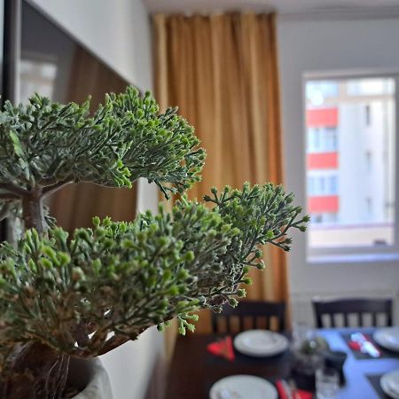 Aviliz Apartament Bușteni Exterior foto