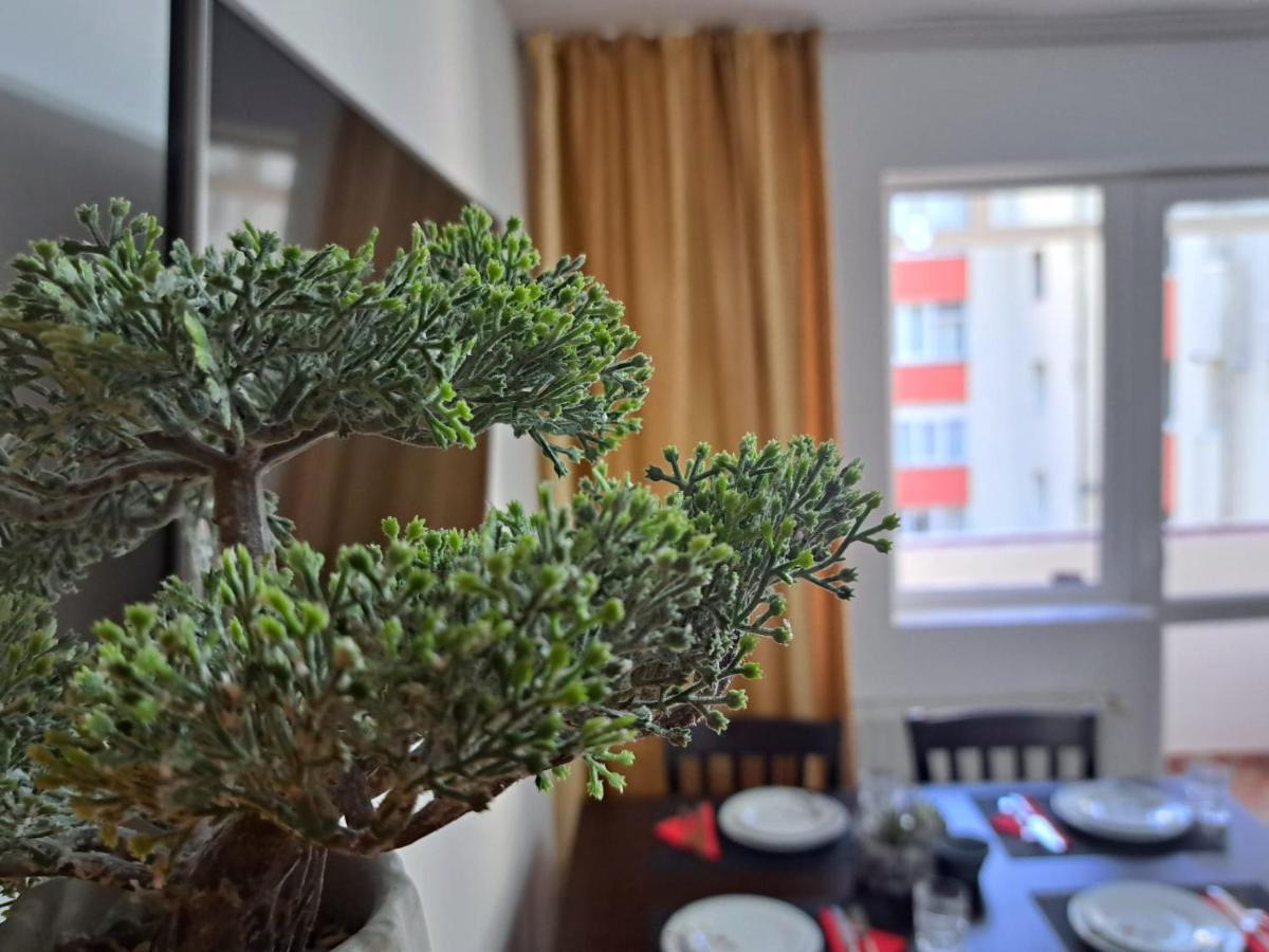 Aviliz Apartament Bușteni Exterior foto