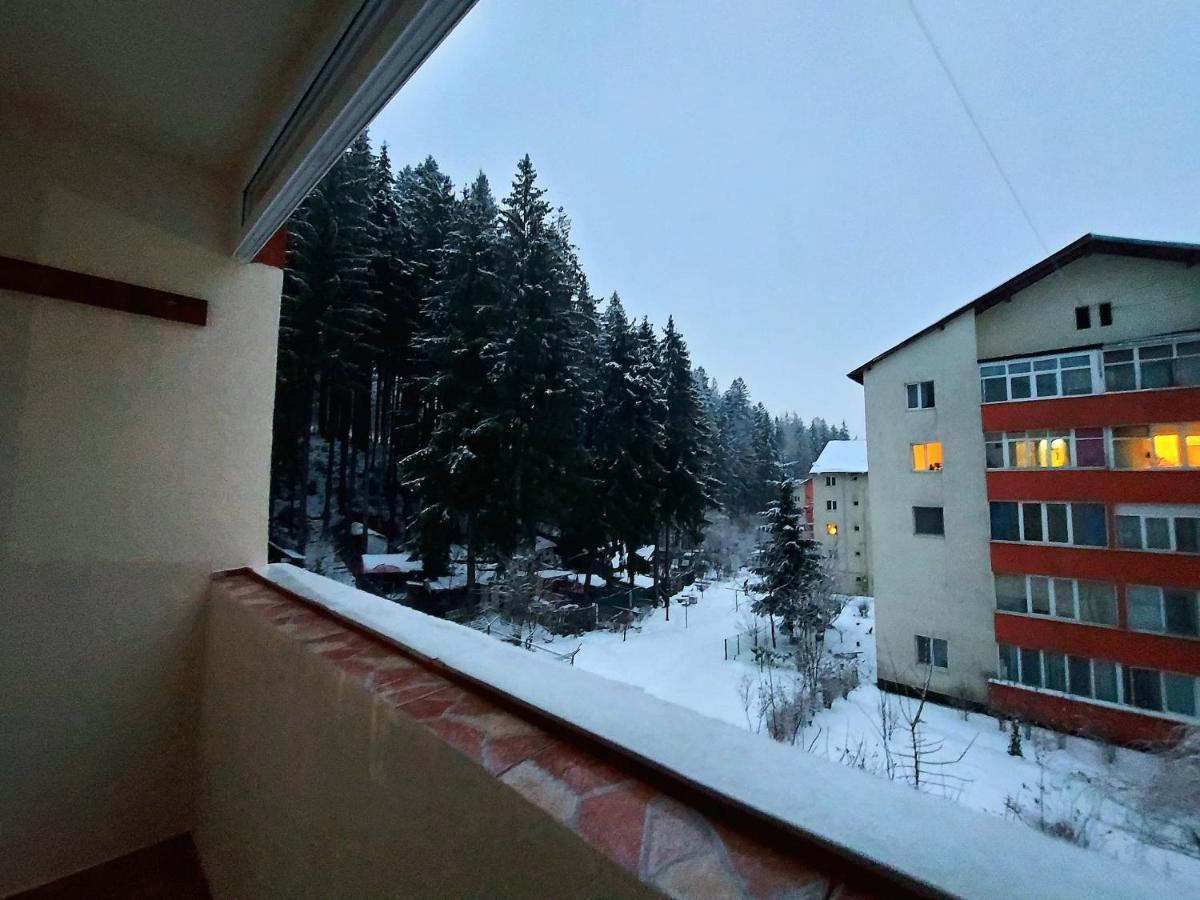 Aviliz Apartament Bușteni Exterior foto