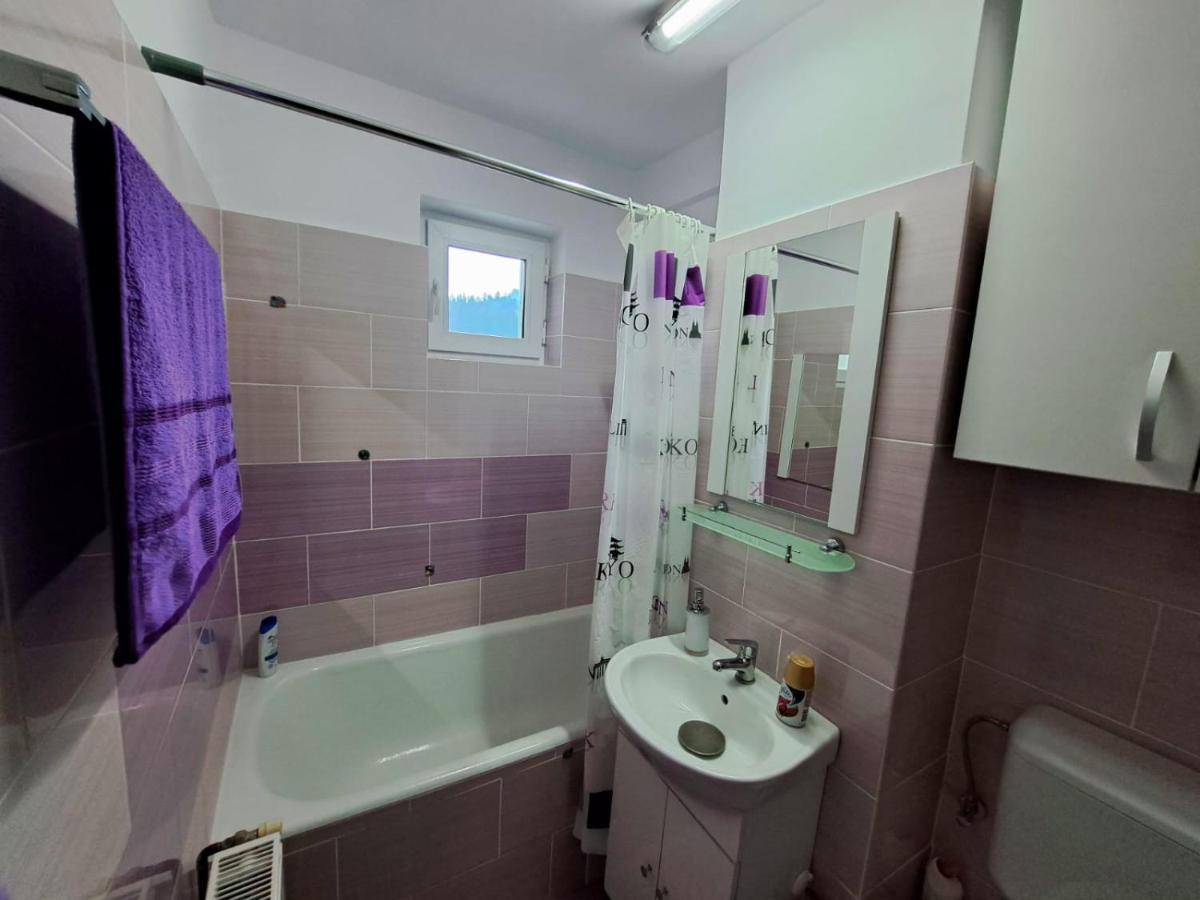 Aviliz Apartament Bușteni Exterior foto