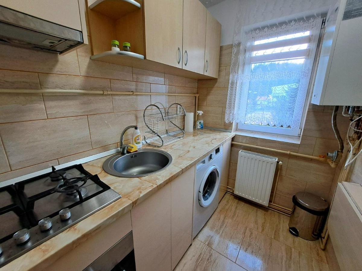 Aviliz Apartament Bușteni Exterior foto