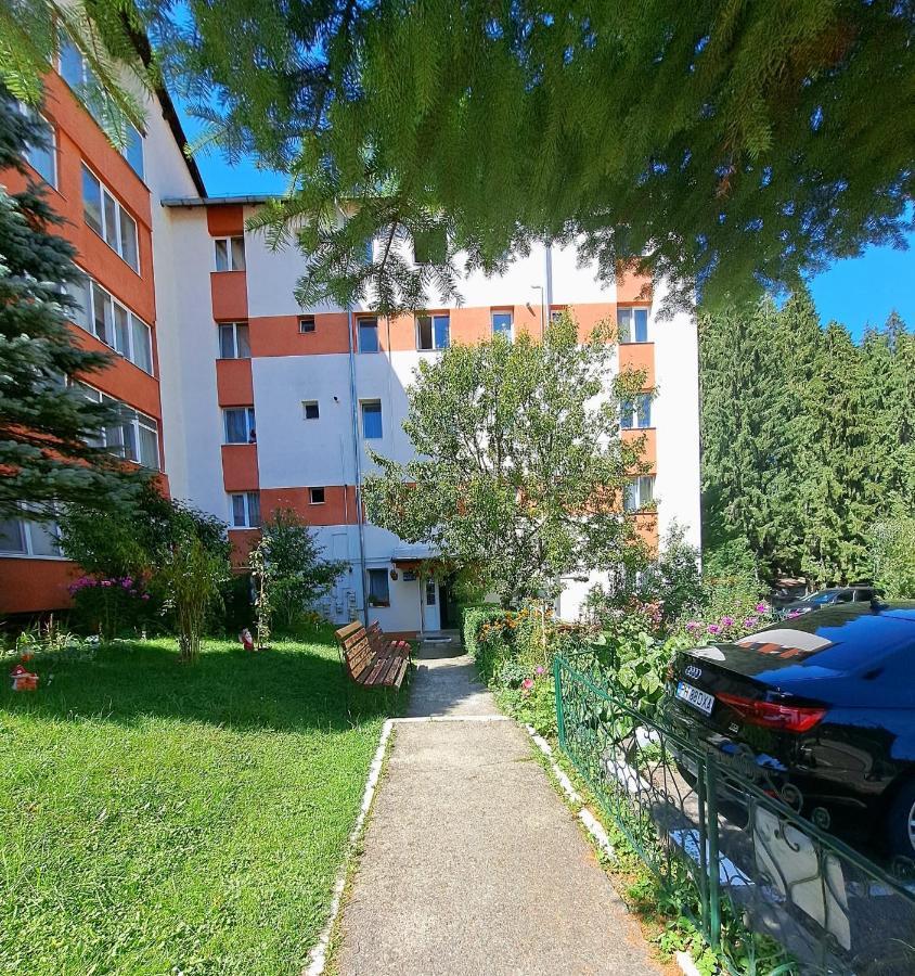 Aviliz Apartament Bușteni Exterior foto